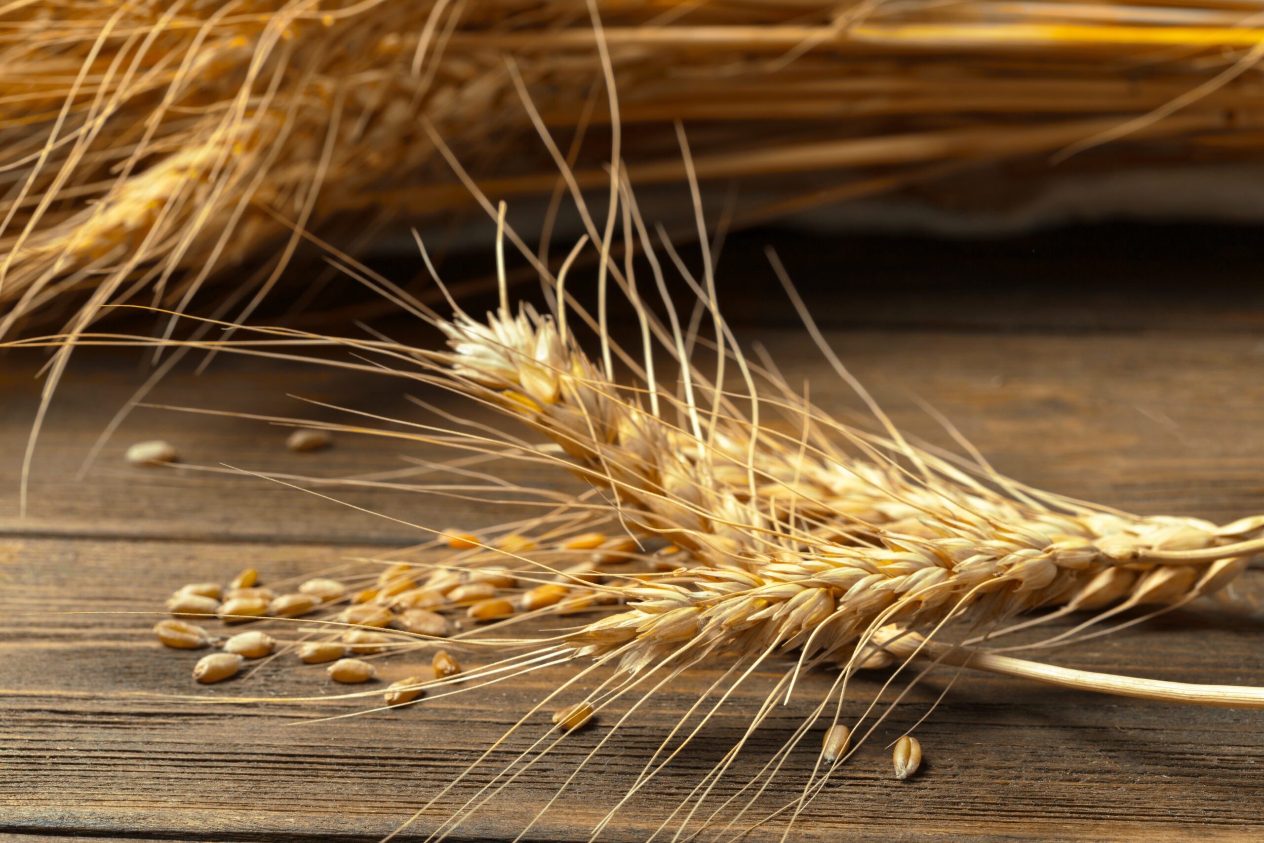wheat-ears-on-the-wooden-table