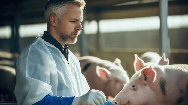 experienced-veterinarian-working-and-checking-animals-health-condition-on-huge-pig-farm-created-with-1