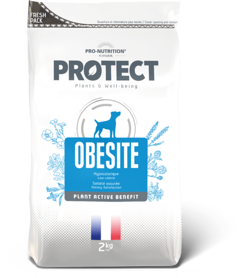 PROTECT CHIEN URINARY (УРІНАРІ) Лікувальний корм при захворюваннях сечовивідних шляхів(струвіти та оксалати)