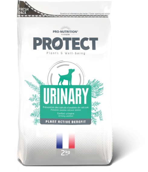PROTECT CHIEN URINARY (УРІНАРІ) Лікувальний корм при захворюваннях сечовивідних шляхів(струвіти та оксалати)