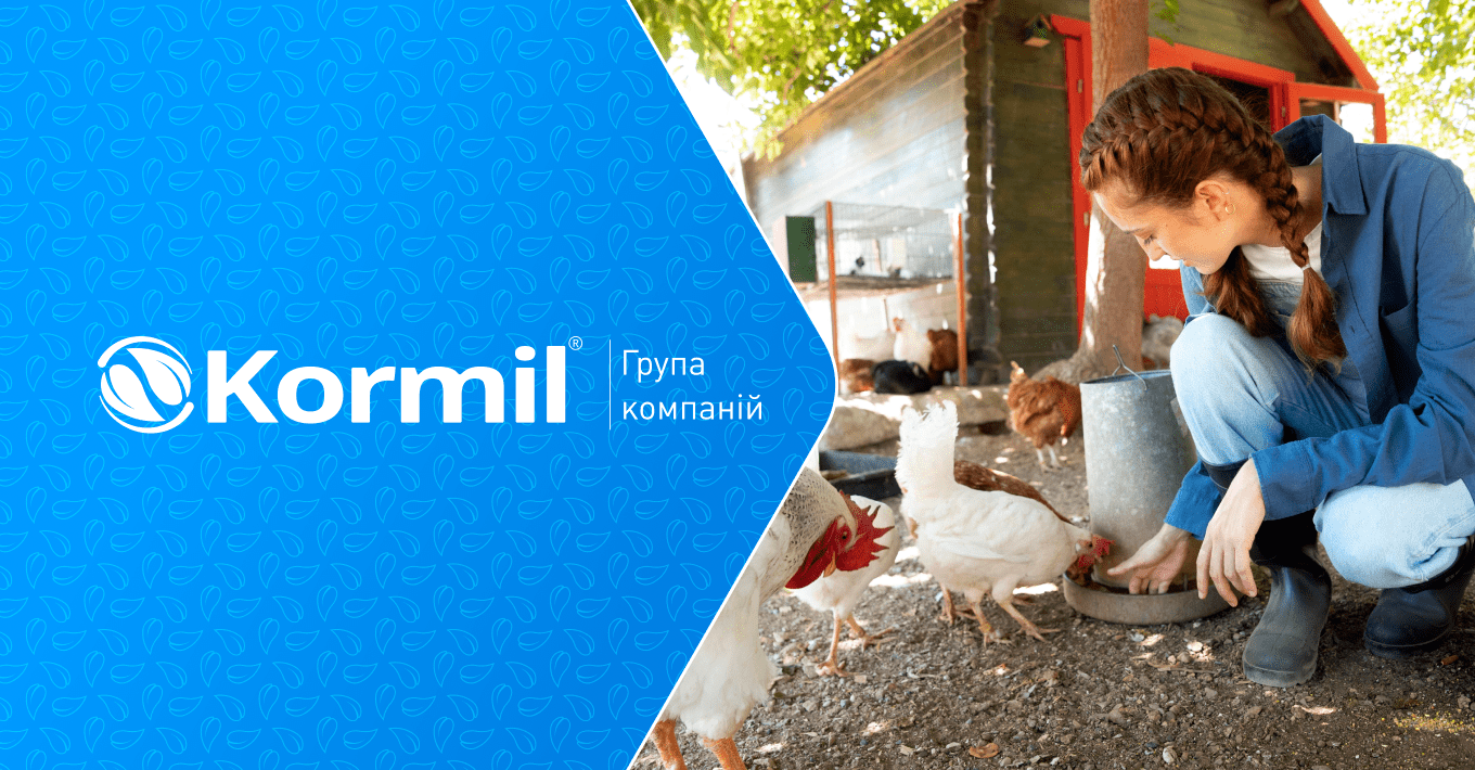 Банер для статті - Як розпочати бізнес із вирощування бройлерів основні кроки