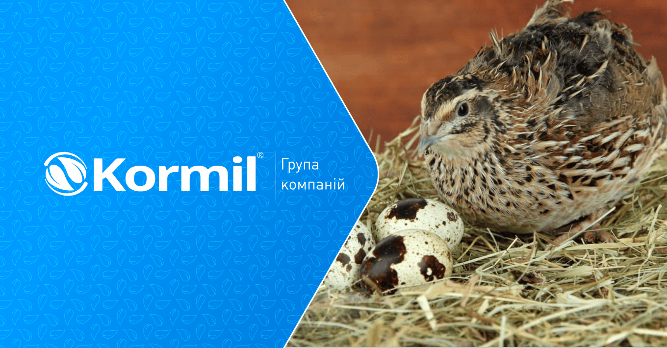 Банер для статті - Практичний Посібник Вирощування Перепілок в Україні