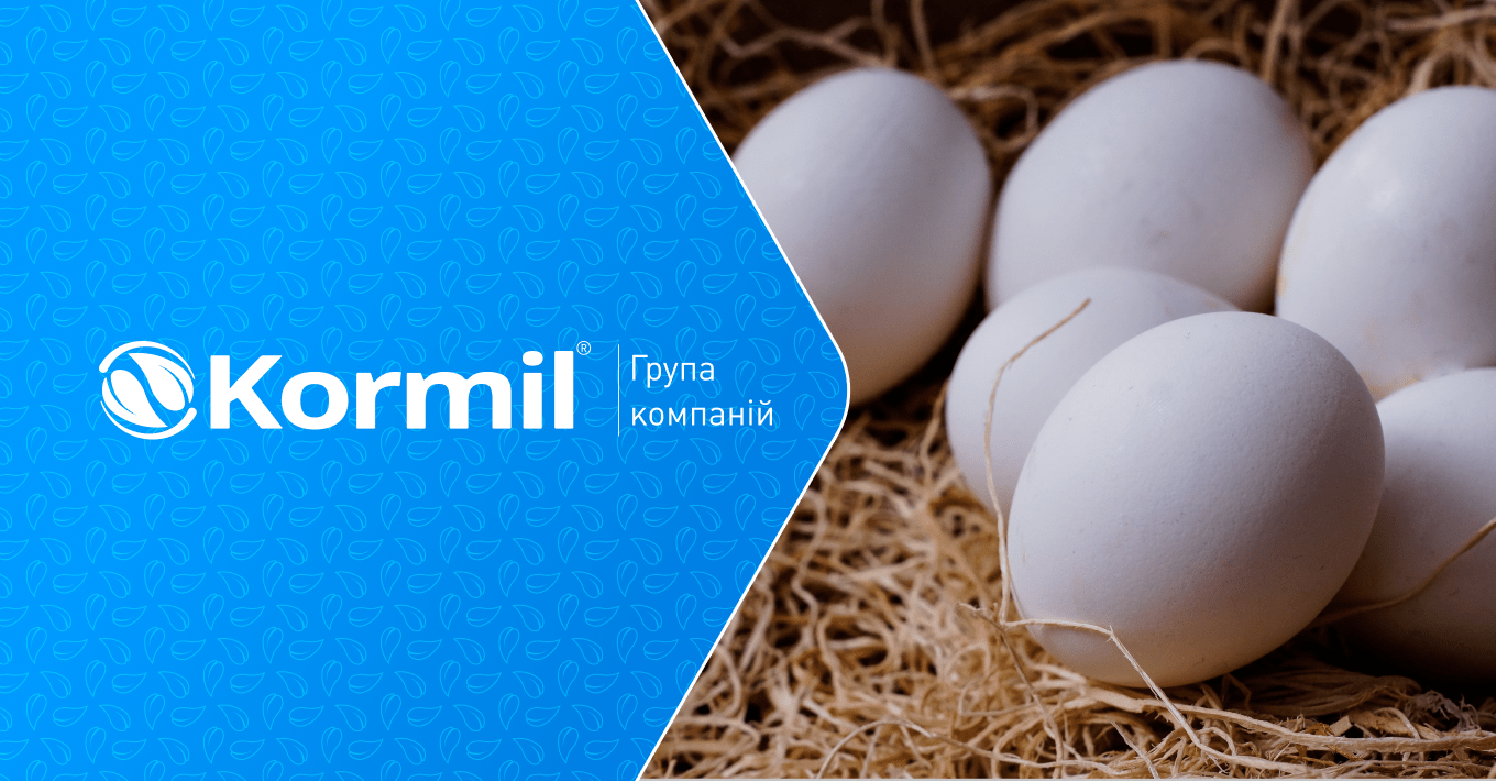 Банер для статті - Виробництво інкубаційних яєць